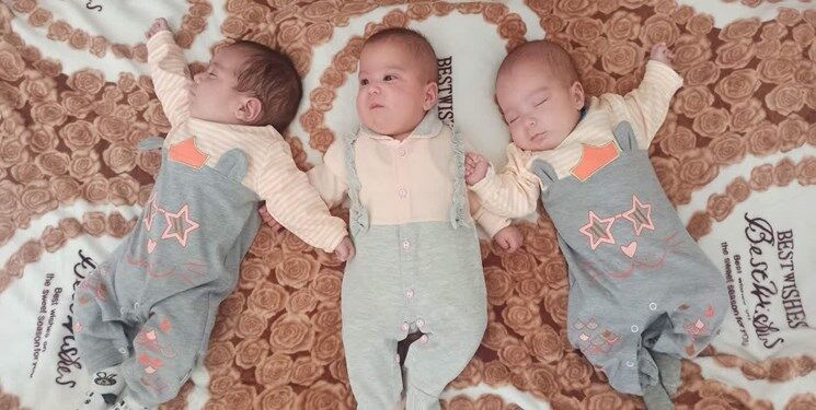 «امیرعلی» و «فاطمه» در صدر اسامی نوزادان قزوین/ ثبت ۲۴۹ مورد چند قلوزایی در استان