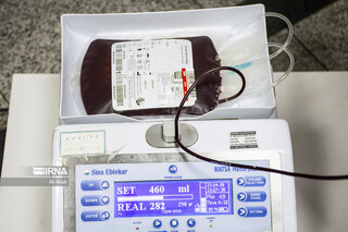 یک گروه خونی نادر در انتقال خون بوشهر شناسایی شد
