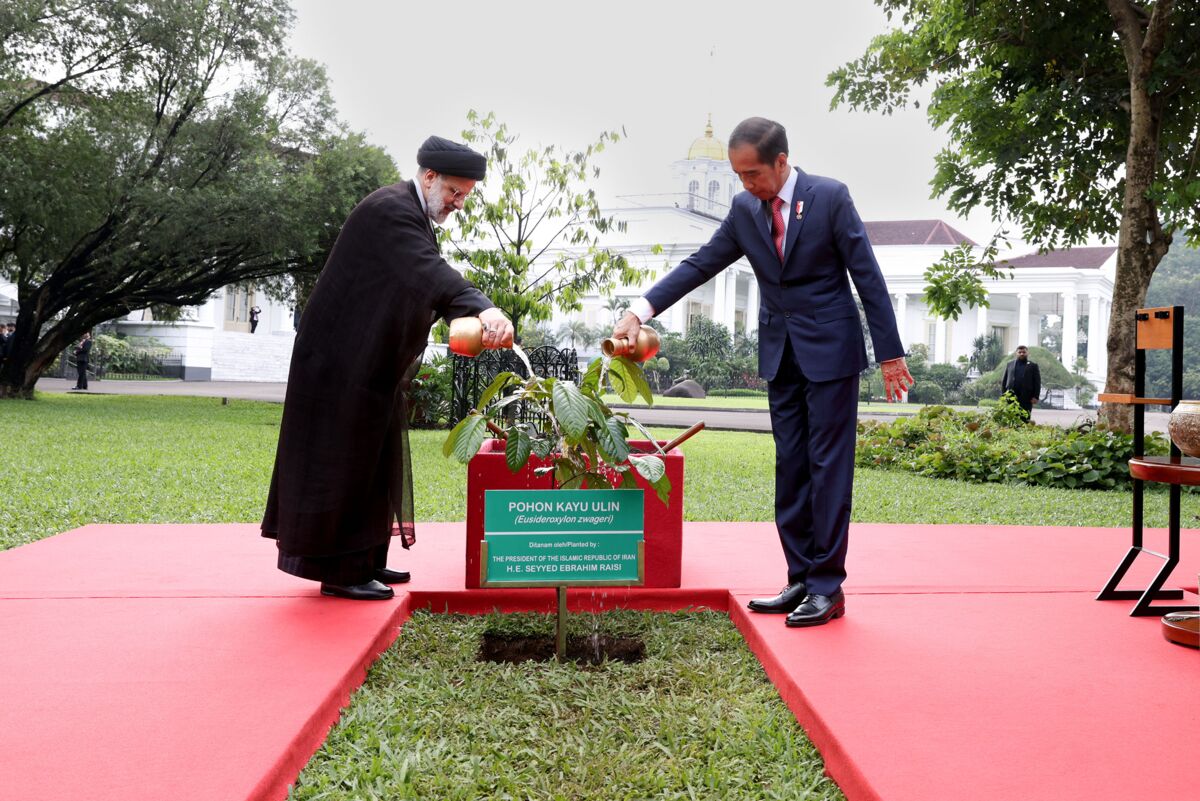 در سفر رئیسی به اندونزی چه گذشت؟/ از مهماننوازی گرم از رئیسی تا امضای ۱۱ توافقنامه