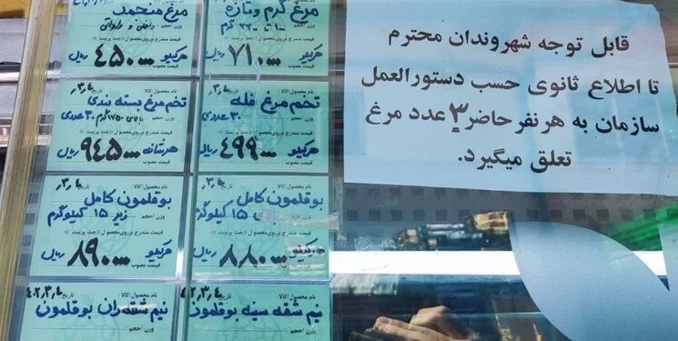 گزارش میدانی از آخرین وضعیت مرغ در استان تهران