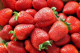 پیش‌بینی تولید ۱۲۰هزار تنی توت فرنگی در کشور