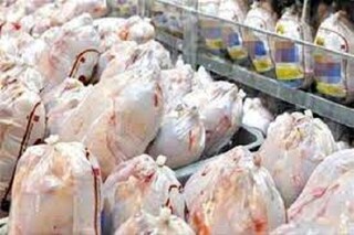 هیچ مجوزی برای واردات گوشت مرغ از بلاروس صادر نشده است