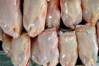سازمان دامپزشکی واردات گوشت مرغ از بلاروس را تکذیب کرد
