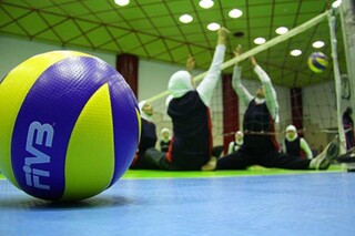 ۳ بانوی ورزشکار خراسان رضوی به اردوی تیم ملی والیبال نشسته دعوت شدند