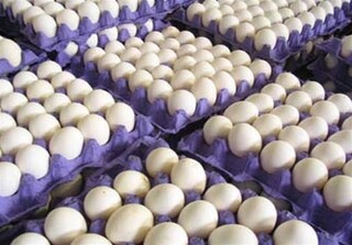 کاهش قیمت تخم مرغ در پی کم شدن تقاضای خرید