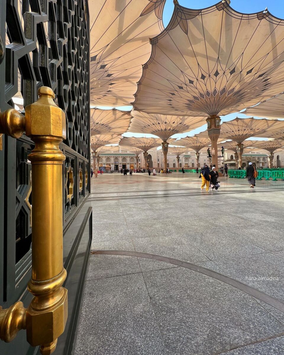 زائران حج تمتع، فقط یکبار روضه منوره حرم نبوی را زیارت میکنند