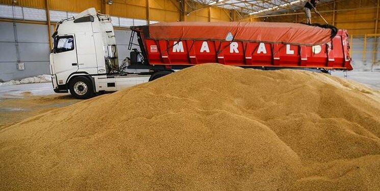 پیش‌بینی خرید ۸.۵ میلیون تن گندم از گندم‌کاران