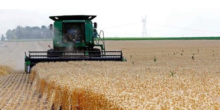 رکورد بی سابقه خرید ۶۲ هزار تن گندم در سیستان و بلوچستان