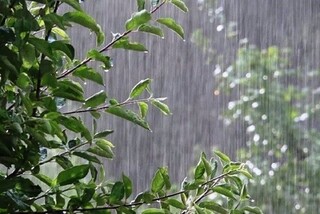 پیش‌بینی بارش‌های پراکنده باران در خوزستان