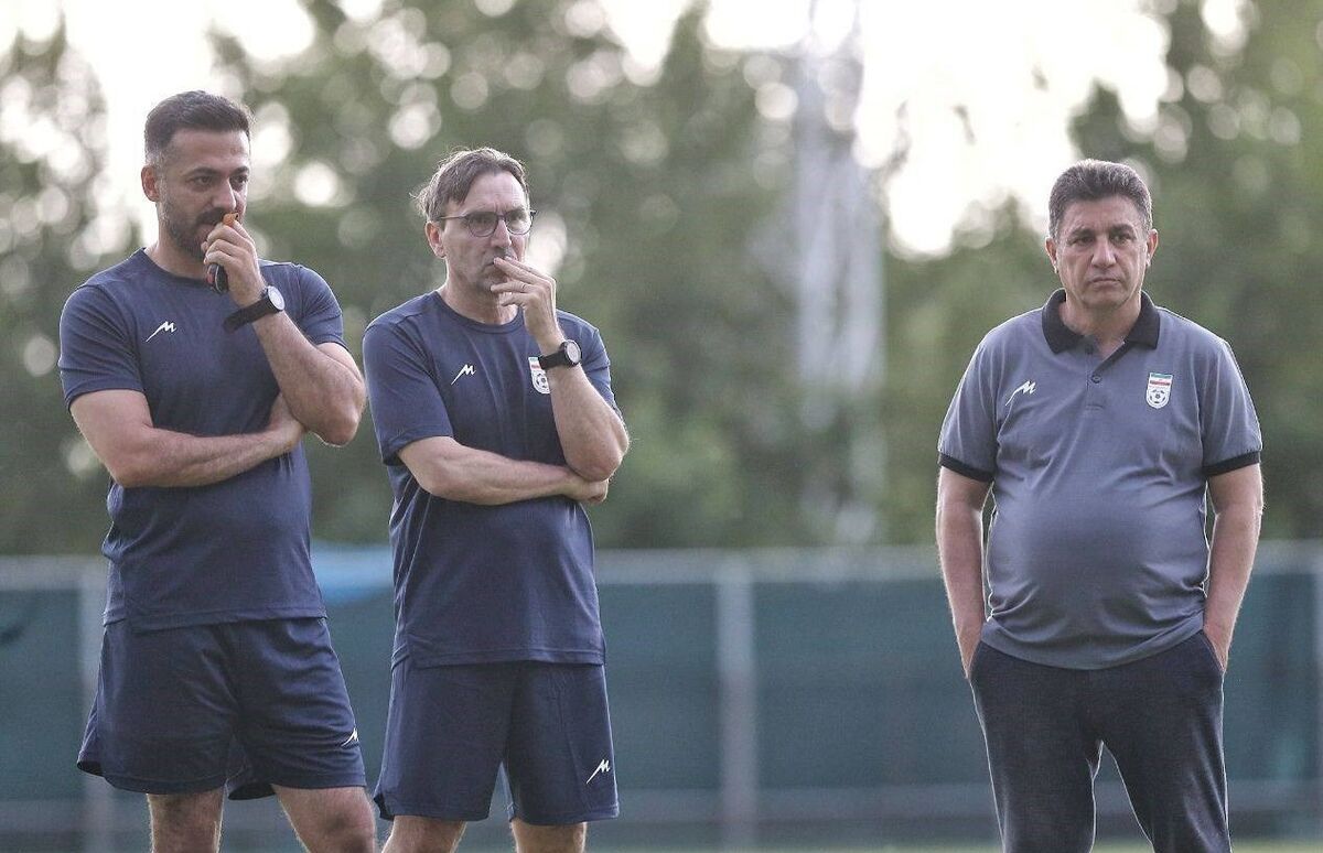 تیم ملی فوتبال ایران , امیر قلعهنویی ,