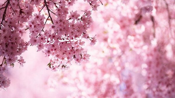 سلام کردن هفتاد ثواب دارد