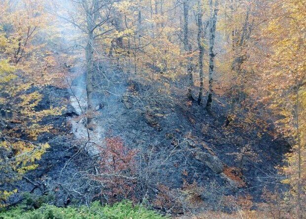 ۵۰ هکتار از بافت گیاهی پارک ملی تندوره درگز در آتش سوخت