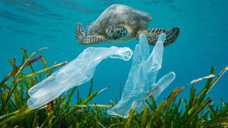 آلودگی‌های پلاستیکی بلای جان اقیانوس‌ها