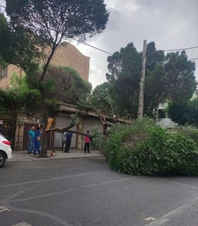 در پی وقوع توفان در تهران صورت گرفت؛ آماده باش کامل شهرداری پایتخت