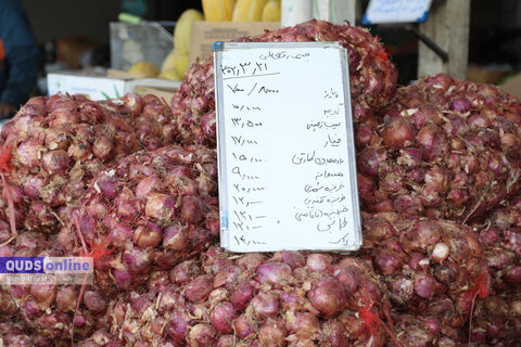 گزارش تصویری I گشت نظارت بازار - میدان بار سپاد مشهد