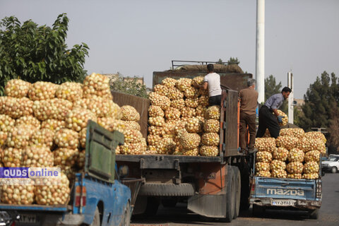 گزارش تصویری I گشت نظارت بازار - میدان بار سپاد مشهد