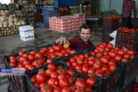 گزارش تصویری I گشت نظارت بازار - میدان بار سپاد مشهد