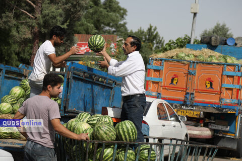 گزارش تصویری I گشت نظارت بازار - میدان بار سپاد مشهد