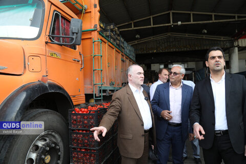 گزارش تصویری I گشت نظارت بازار - میدان بار سپاد مشهد