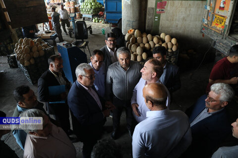 گزارش تصویری I گشت نظارت بازار - میدان بار سپاد مشهد