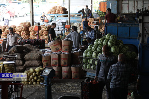 گزارش تصویری I گشت نظارت بازار - میدان بار سپاد مشهد