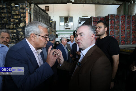 گزارش تصویری I گشت نظارت بازار - میدان بار سپاد مشهد