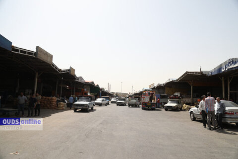 گزارش تصویری I گشت نظارت بازار - میدان بار سپاد مشهد