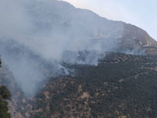 آتش‌سوزی در عرصه های طبیعی شهرستان باشت مهار شد