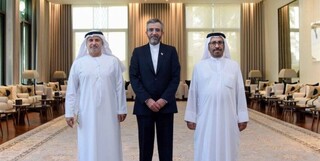 عزم دولت امارات برای ارتقای همه‌جانبه روابط با ایران