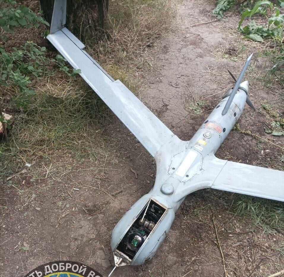 کوه تجهیزات ناتو در ضدحمله اوکراین موش زایید