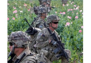نگرانی اندیشکده وابسته به کنگره آمریکا از مبارزه با مواد مخدر در افغانستان