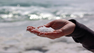 تبلیغات «نمک دریا» اساس علمی ندارد/ ۳ عارضه مهم نمک‌های تصفیه نشده