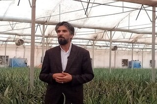 احیای ۱۴ واحد راکد بخش کشاورزی/ احداث پالایشگاه لبنیات در اسلامیه