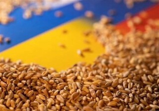 دو دهه طول می‌کشد تا بخش کشاورزی اوکراین به شرایط قبل بازگردد
