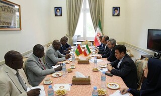 معاون سیاسی وزیر امور خارجه: ایران برنامه توسعه روابط با بورکینافاسو را در دستورکار خود دارد