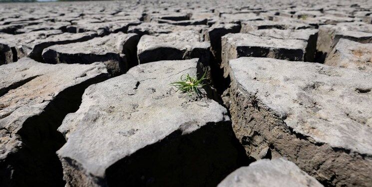 احتمال بروز بحران کمبود غذا در کشورهای حوزه بالتیک