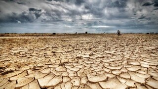 خشکسالی بی امان در ۹۹ درصد مساحت خراسان جنوبی