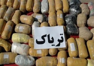 انهدام ۲۶ باند کلان مواد مخدر در بوشهر/ کشف حدود ۱.۵ تن مواد