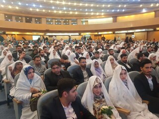 مشاور رییس دانشگاه آزاد یزد: ازدواج کنید، رایگان تحصیل نمایید