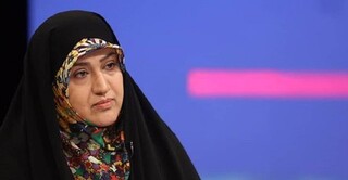 انتقاد رئیس فراکسیون محیط زیست مجلس شورای اسلامی/جای خالی "آب" و "محیط زیست" در برنامه هفتم