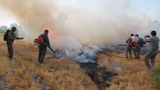 شناسایی ۱۵ نقطه مستعد آتش‌سوزی در کنگاور