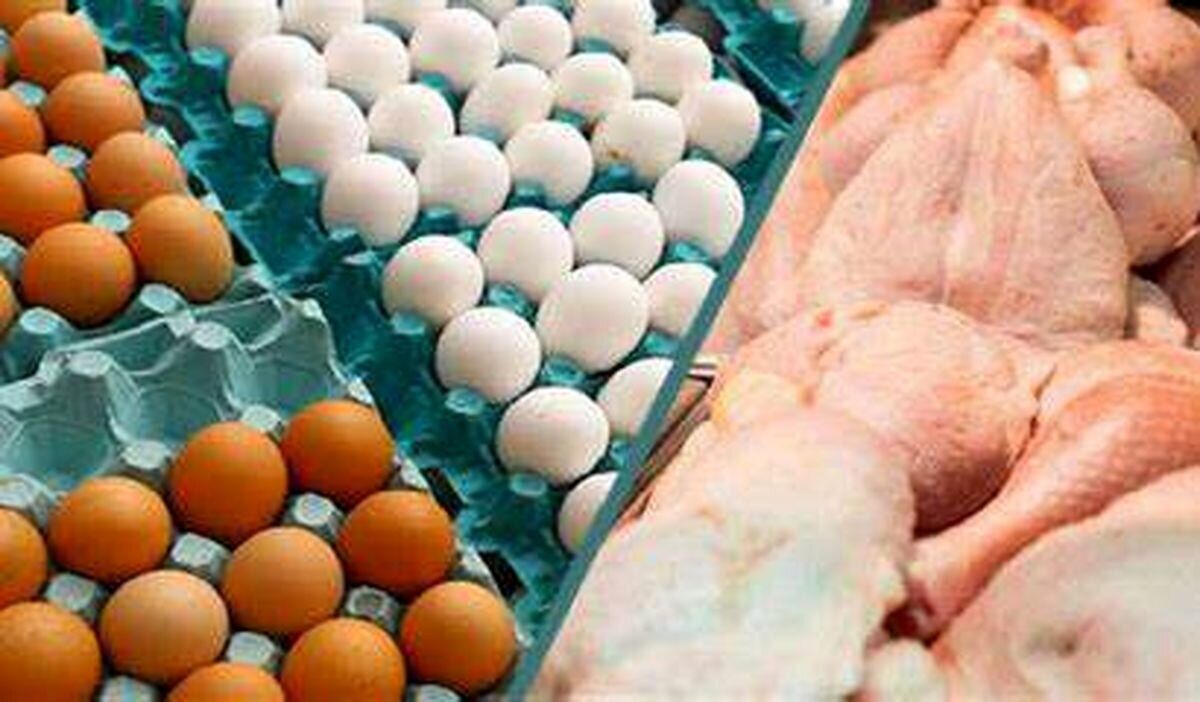 گرما نرخ تخم مرغ را کاهش داد/ مرغ هر کیلو ۸۹ هزار و ۸۰۰ تومان
