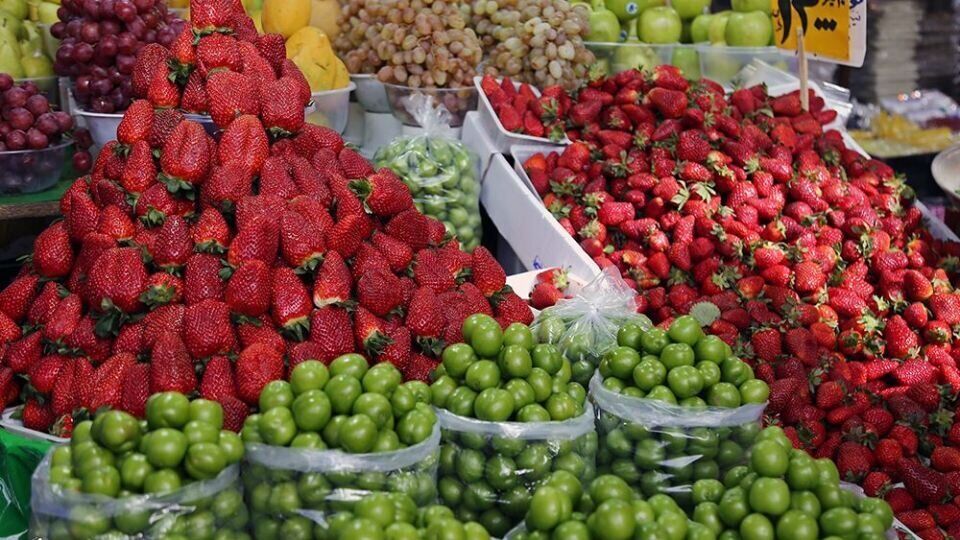 کاهش ۲۰ درصدی قیمت میوه‌های فصل در مشهد، تقاضا را افزایش داد