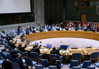 درخواست سازمان‌های آفریقایی از شورای امنیت درباره اقدامات نیروهای «واکنش سریع» سودان