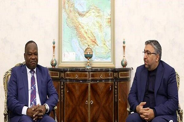 سخنگوی کمیسیون امنیت ملی مجلس: قاره آفریقا در اولویت سیاست خارجی ایران است