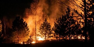 ادامه بحران آتش‌سوزی جنگل‌ها در کانادا و وضعیت اضطراری هوا در آمریکا