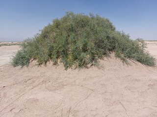 شدت فرسایش خاک در ایران، ۱۶ تن در هکتار