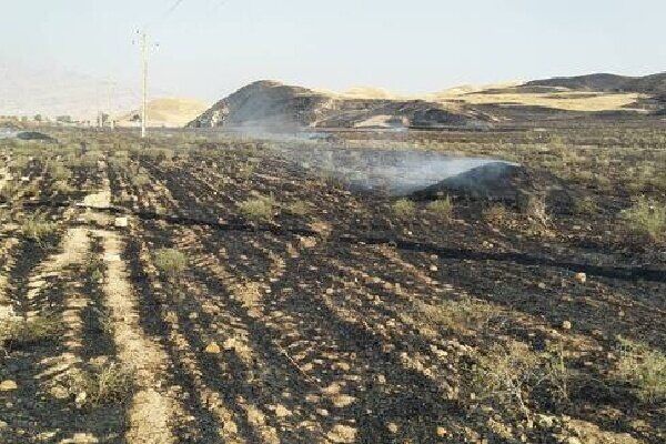 ۱٠ هکتار از بادامستان های چرام در آتش سوخت