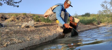 حکایت پیرمردی که ۷۰ سال است درخت میکارد/ قهرمان کوهستانهای کامفیروز