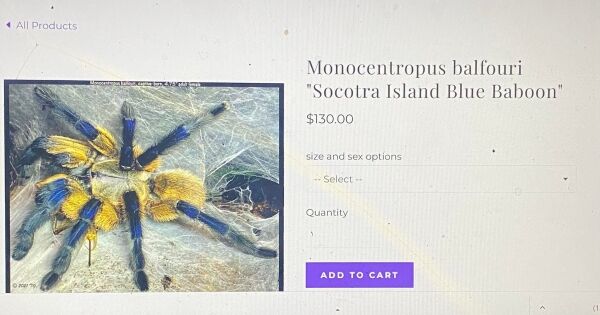 قاچاق حیوانات نادر یمن توسط آمریکا